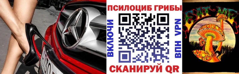 Галлюциногенные грибы Psilocybine cubensis  Купить где  Холм 